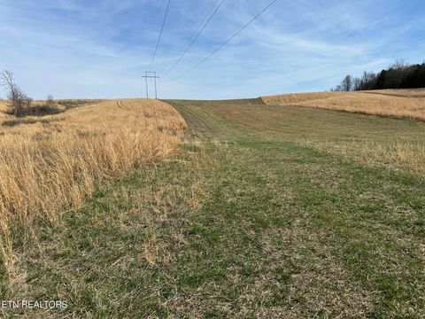 Tiny photo for 90 Old Rhea Spring Rd, Spring City, TN 37381 (MLS # 1332903)