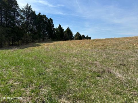 Tiny photo for 90 Old Rhea Spring Rd, Spring City, TN 37381 (MLS # 1332903)