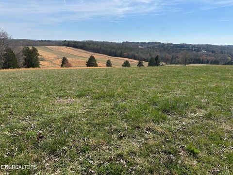 Tiny photo for 90 Old Rhea Spring Rd, Spring City, TN 37381 (MLS # 1332903)