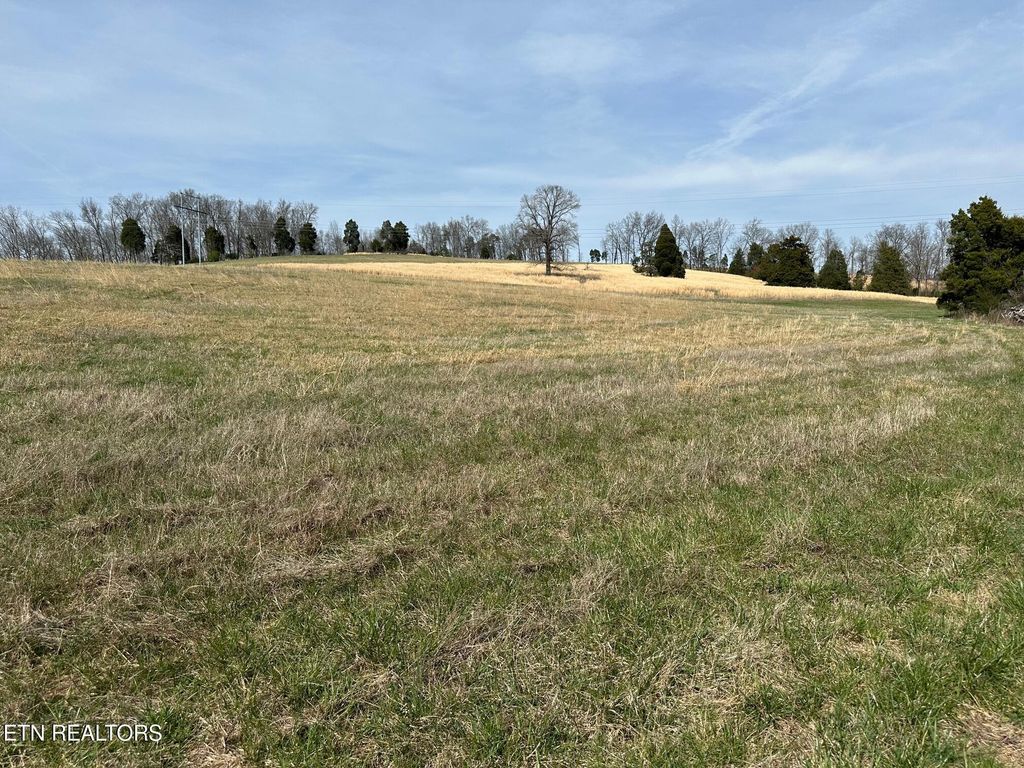 Photo of 90 Old Rhea Spring Rd, Spring City, TN 37381 (MLS # 1332903)