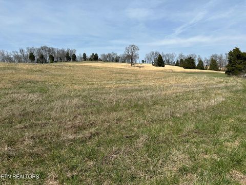 Tiny photo for 90 Old Rhea Spring Rd, Spring City, TN 37381 (MLS # 1332903)