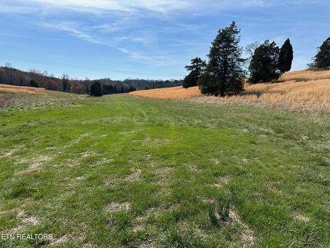 Tiny photo for 90 Old Rhea Spring Rd, Spring City, TN 37381 (MLS # 1332903)