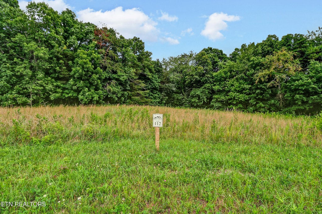Photo of Suzie Court, Crossville, TN 38555 (MLS # 1345841)
