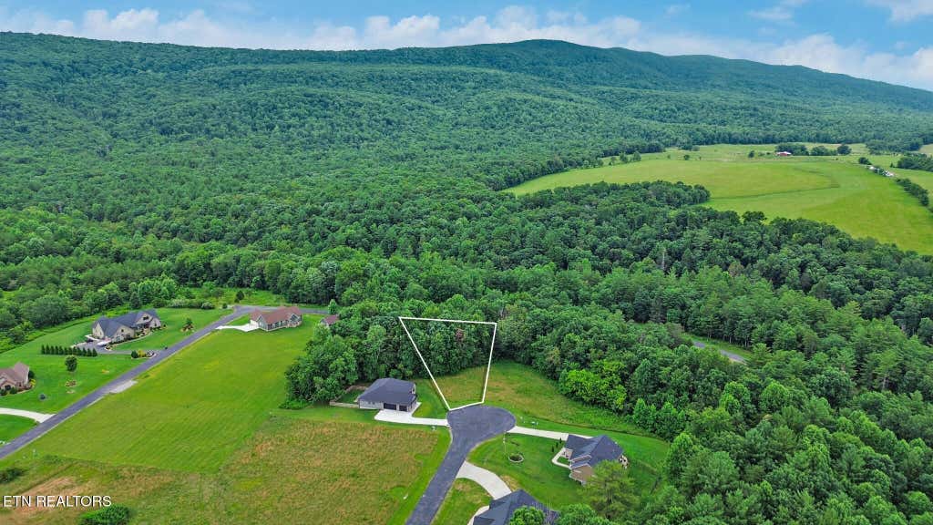 Photo of Suzie Court, Crossville, TN 38555 (MLS # 1345841)