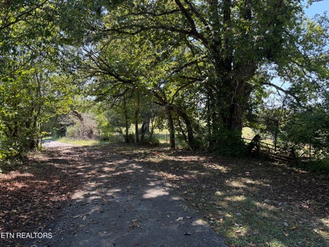 Tiny photo for 196 Bailey Hollow Rd, Tazewell, TN 37879 (MLS # 1355679)
