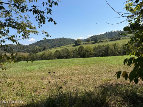 Tiny photo for 196 Bailey Hollow Rd, Tazewell, TN 37879 (MLS # 1355679)