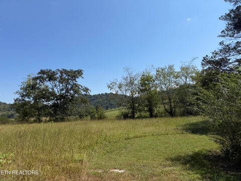 Tiny photo for 196 Bailey Hollow Rd, Tazewell, TN 37879 (MLS # 1355679)