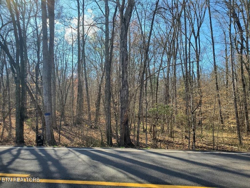 Photo of 17 Highway 304, Decatur, TN 37322 (MLS # 1294741)