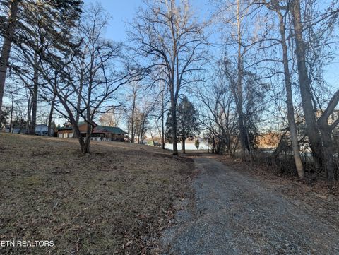 Lakewood Village Rd Spring City TN 37381