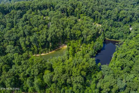 Photo of 119 Westridge Tr, Monterey, TN 38574 (MLS # 1319161)