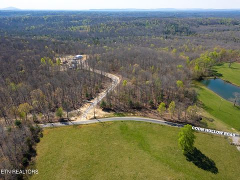 Tiny photo for Coon Hollow Rd #031 009.01, Sunbright, TN 37872 (MLS # 1336326)