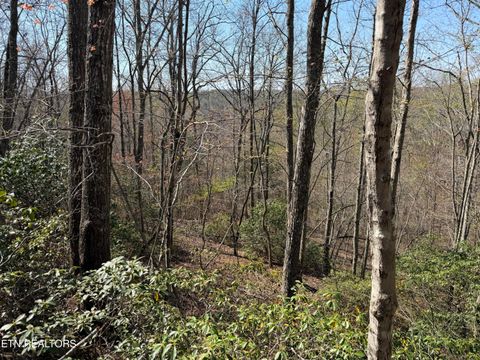 Tiny photo for Coon Hollow Rd #031 009.01, Sunbright, TN 37872 (MLS # 1336326)