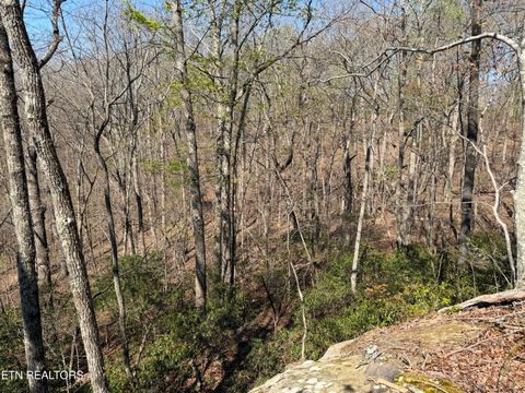 Tiny photo for Coon Hollow Rd #031 009.01, Sunbright, TN 37872 (MLS # 1336326)