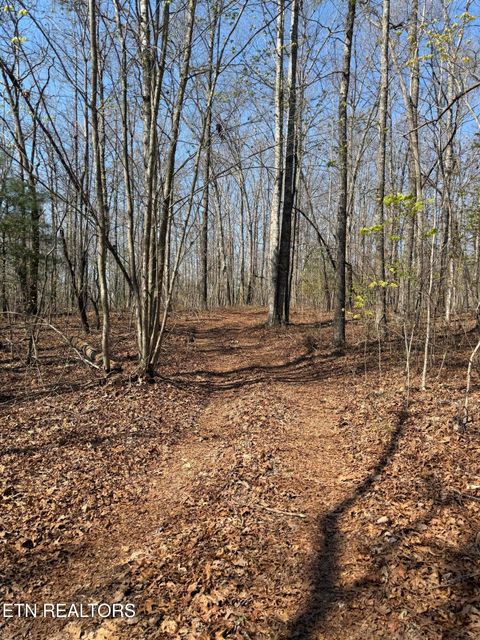 Tiny photo for Coon Hollow Rd #031 009.01, Sunbright, TN 37872 (MLS # 1336326)