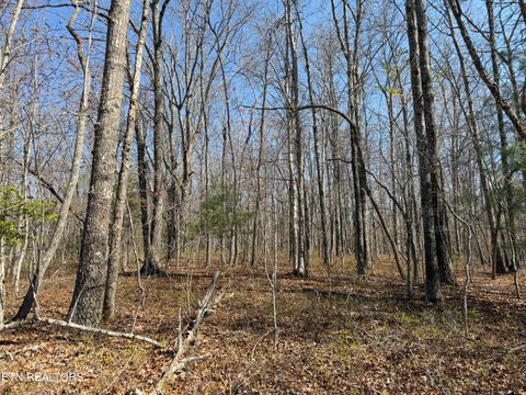 Tiny photo for Coon Hollow Rd #031 009.01, Sunbright, TN 37872 (MLS # 1336326)