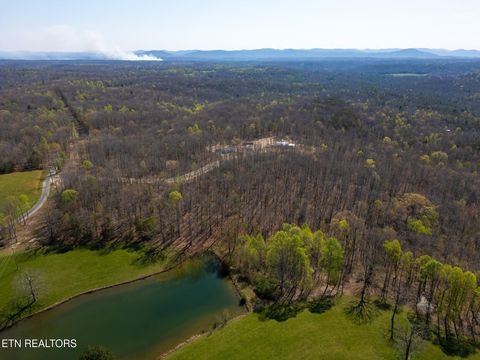 Tiny photo for Coon Hollow Rd #031 009.01, Sunbright, TN 37872 (MLS # 1336326)