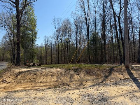 Photo of Coon Hollow Rd #031 009.01, Sunbright, TN 37872 (MLS # 1336326)