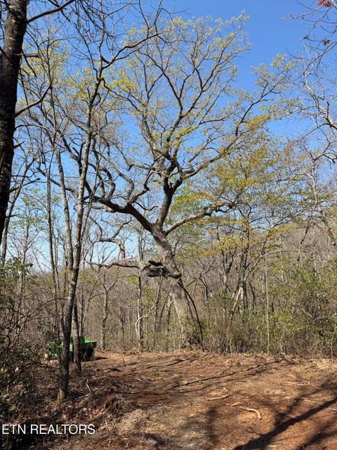 Tiny photo for Coon Hollow Rd #031 009.01, Sunbright, TN 37872 (MLS # 1336326)