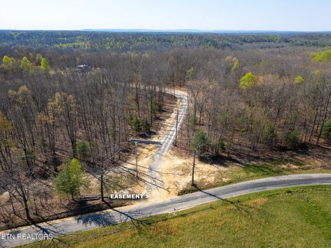 Photo of Coon Hollow Rd #031 009.01, Sunbright, TN 37872 (MLS # 1336326)