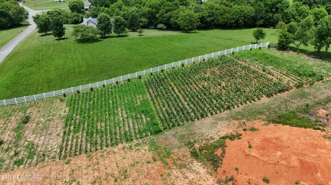 Tiny photo for 925 Holston Shores Drive, Rutledge, TN 37861 (MLS # 1328699)