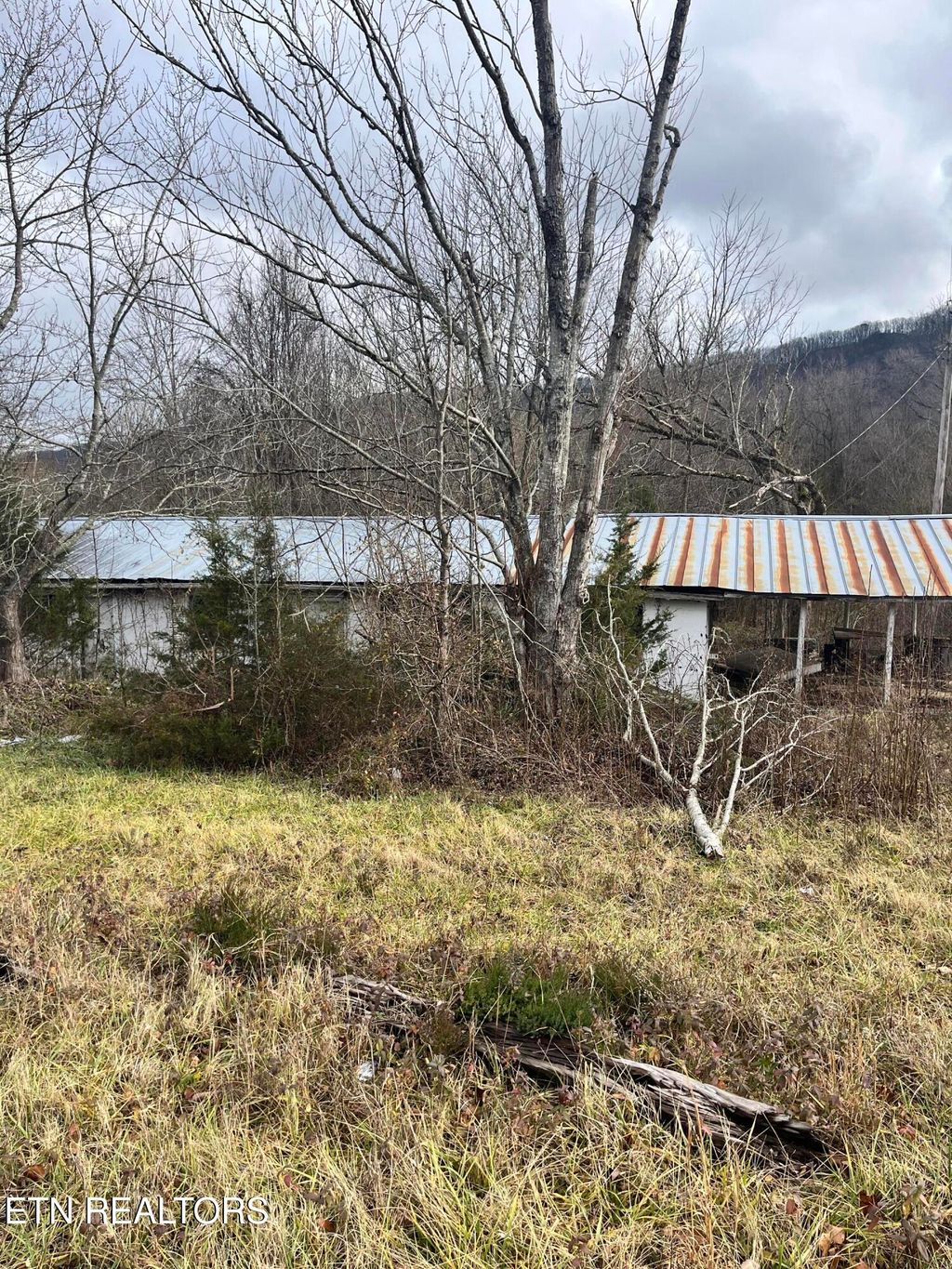 Photo of 7875 Highway 131, Washburn, TN 37888 (MLS # 1285915)