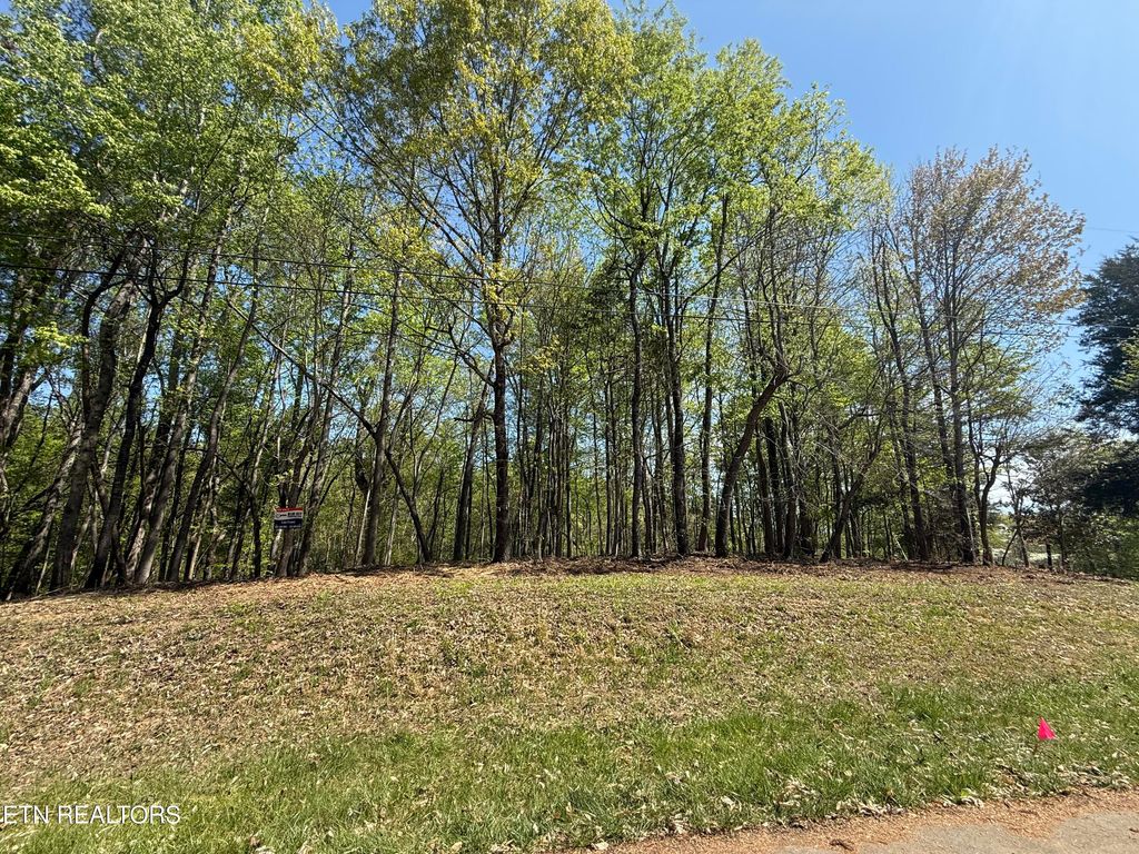 Photo of 2223 Phillips Drive, Rockwood, TN 37854 (MLS # 1345280)