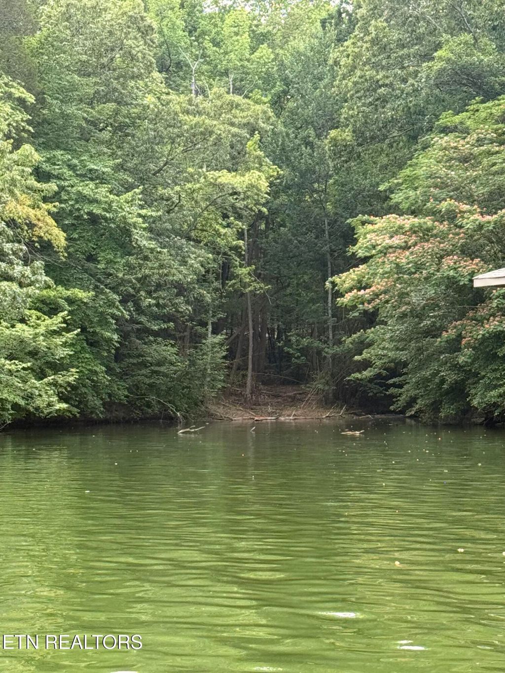 Photo of 2223 Phillips Drive, Rockwood, TN 37854 (MLS # 1345280)