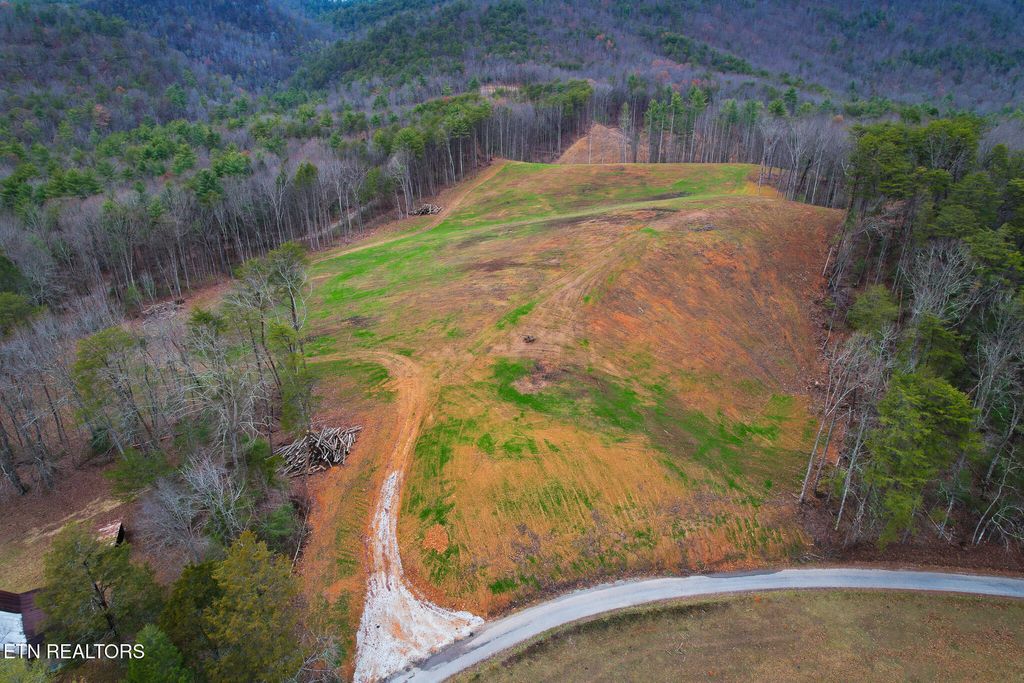 Photo of 624 Creek Rd, Reliance, TN 37369 (MLS # 1307941)