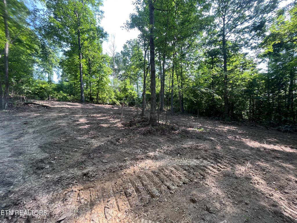 Photo of Little Sycamore Rd, Tazewell, TN 37879 (MLS # 1314948)