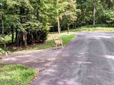 Tiny photo for 1721 Taskigi Court, Mooresburg, TN 37811 (MLS # 1319072)