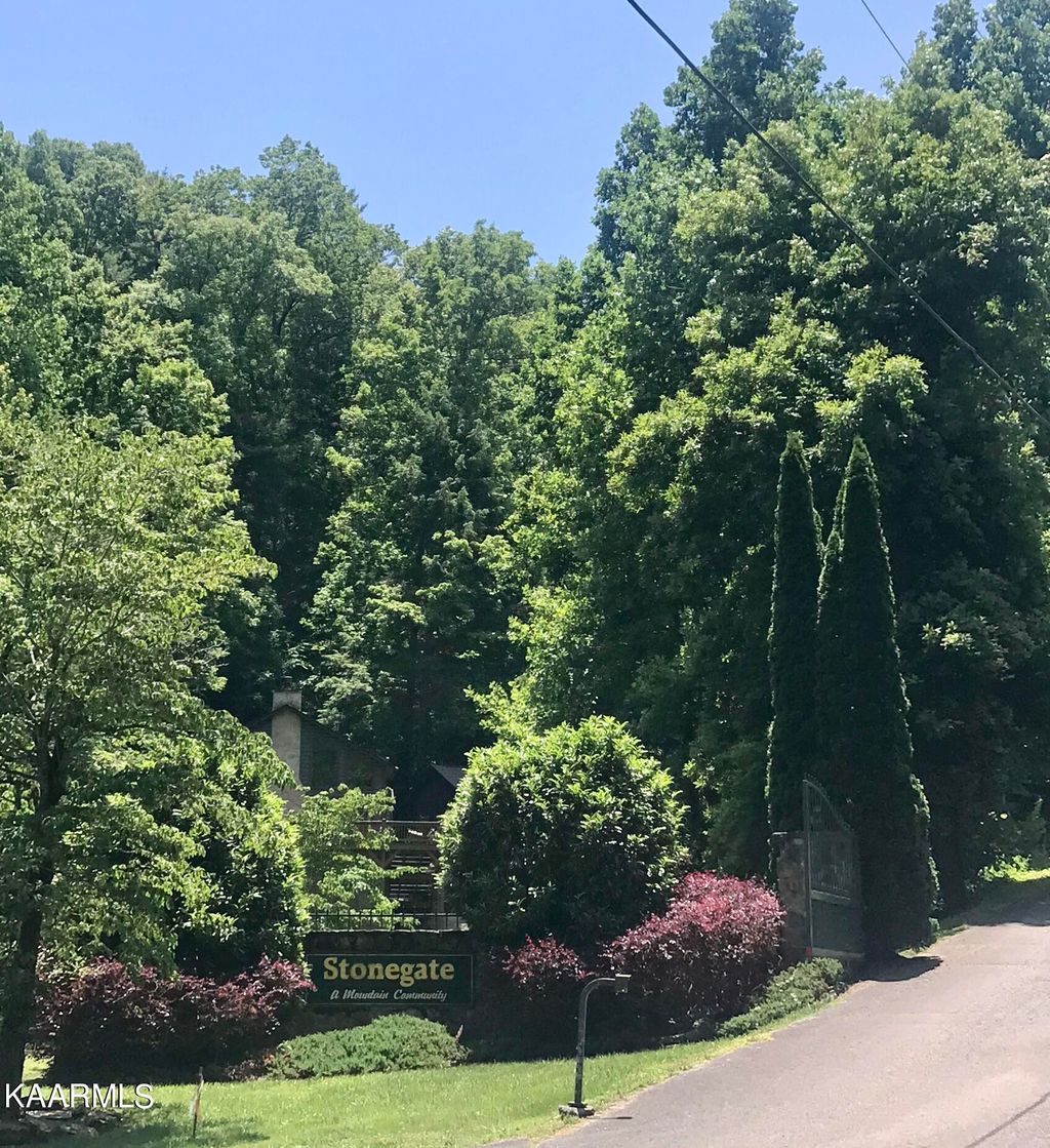 Photo of 509 Stonegate Way, Townsend, TN 37882 (MLS # 1229067)