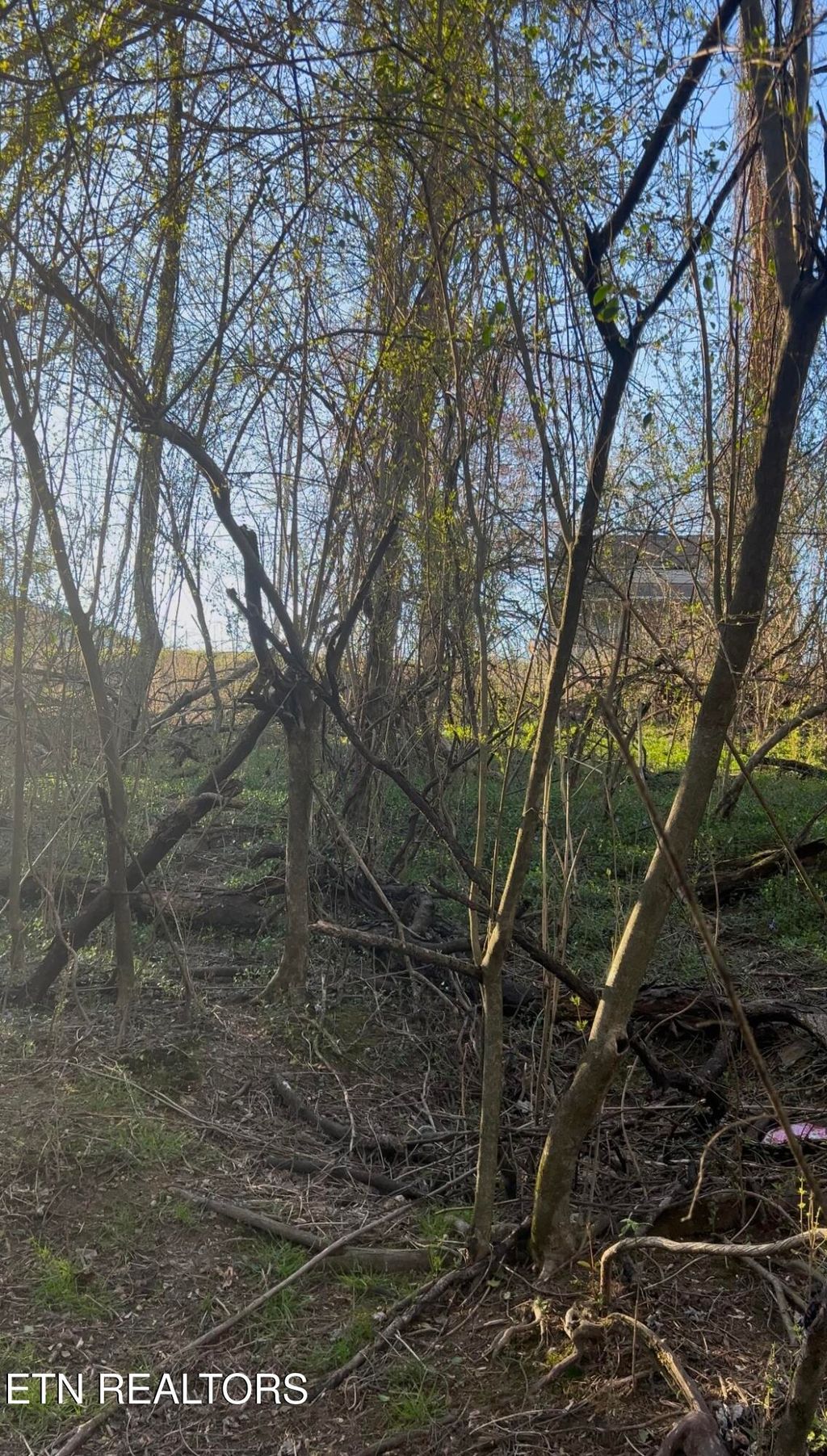 Photo of N Patton Ave, Rockwood, TN 37854 (MLS # 1295524)