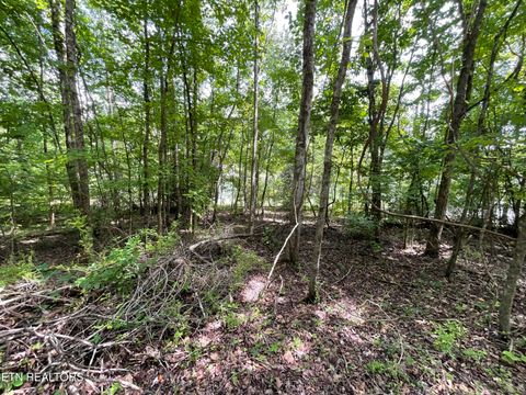Tiny photo for Anna Laura Lane, Rockwood, TN 37854 (MLS # 1342770)