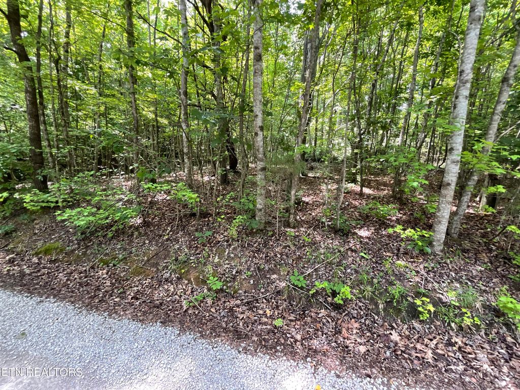 Photo of Anna Laura Lane, Rockwood, TN 37854 (MLS # 1342770)