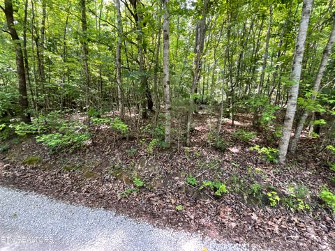 Photo of Anna Laura Lane, Rockwood, TN 37854 (MLS # 1342770)