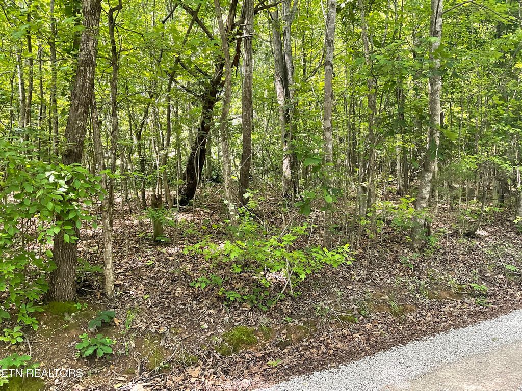 Photo of Anna Laura Lane, Rockwood, TN 37854 (MLS # 1342770)