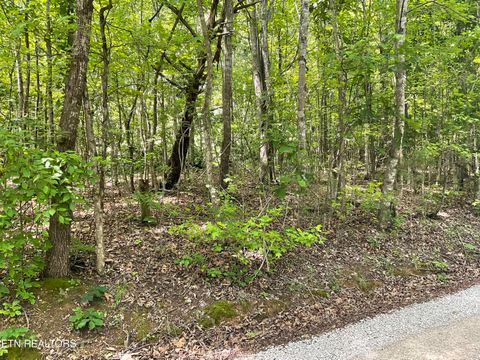 Tiny photo for Anna Laura Lane, Rockwood, TN 37854 (MLS # 1342770)