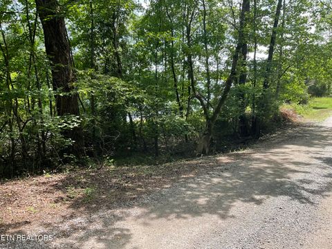 Tiny photo for Anna Laura Lane, Rockwood, TN 37854 (MLS # 1342770)