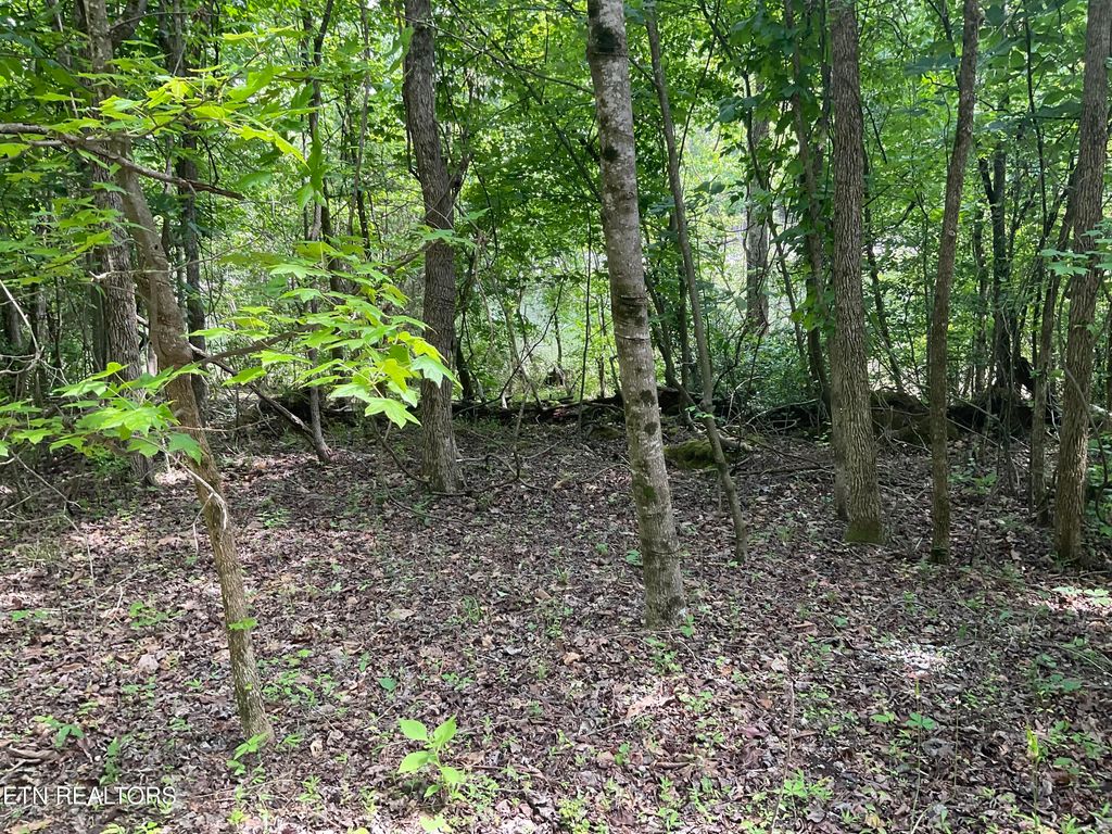 Photo of Anna Laura Lane, Rockwood, TN 37854 (MLS # 1342770)