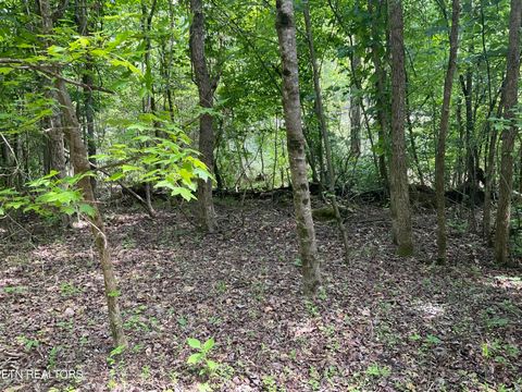 Tiny photo for Anna Laura Lane, Rockwood, TN 37854 (MLS # 1342770)