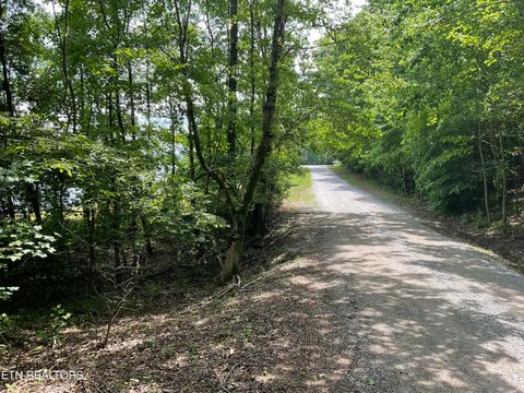 Tiny photo for Anna Laura Lane, Rockwood, TN 37854 (MLS # 1342770)