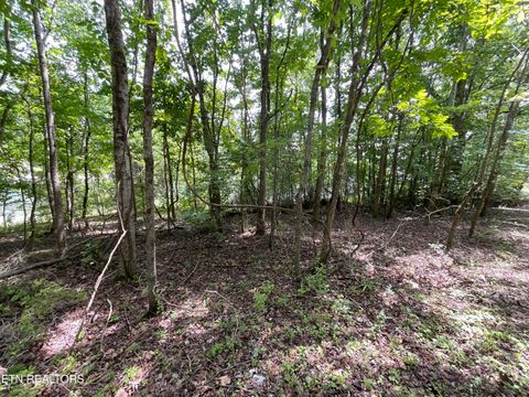 Tiny photo for Anna Laura Lane, Rockwood, TN 37854 (MLS # 1342770)