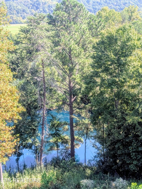 Tiny photo for 1720 Mountain Drive, Sevierville, TN 37876 (MLS # 1356931)