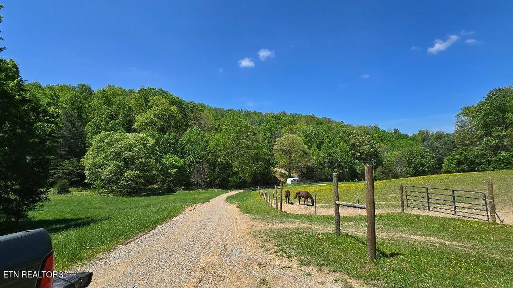 Photo of Dooley Hollow Rd, Ewing, VA 24248 (MLS # 1324670)