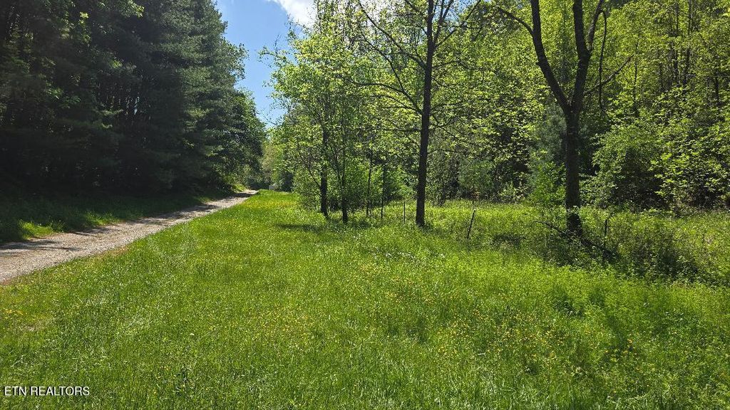 Photo of Dooley Hollow Rd, Ewing, VA 24248 (MLS # 1324670)