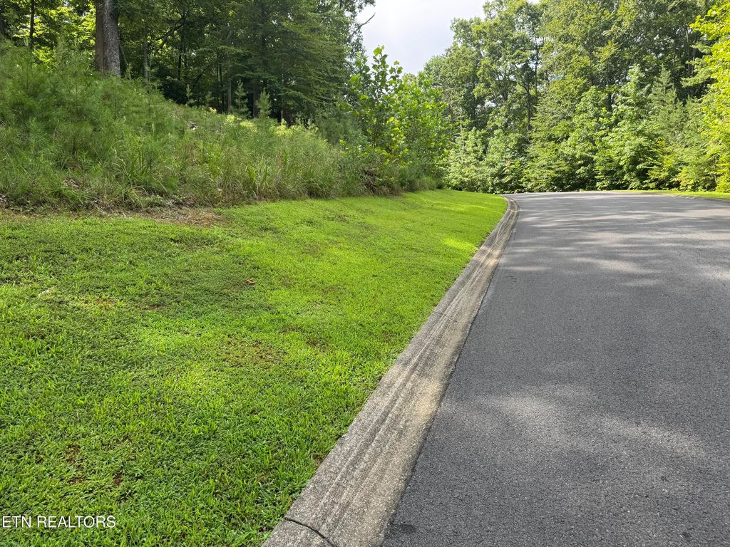 Photo of Cove Springs Drive, Dandridge, TN 37725 (MLS # 1311856)