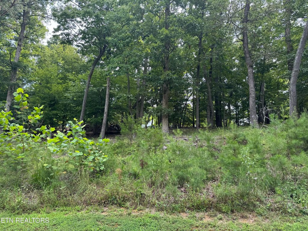 Photo of Cove Springs Drive, Dandridge, TN 37725 (MLS # 1311856)