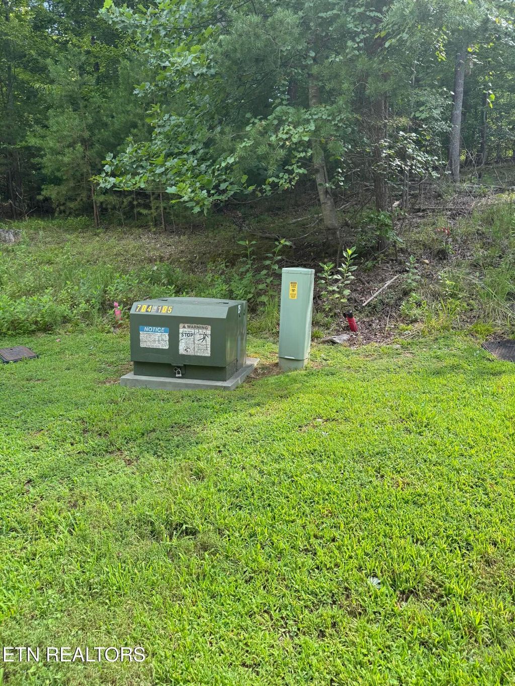 Photo of Cove Springs Drive, Dandridge, TN 37725 (MLS # 1311856)