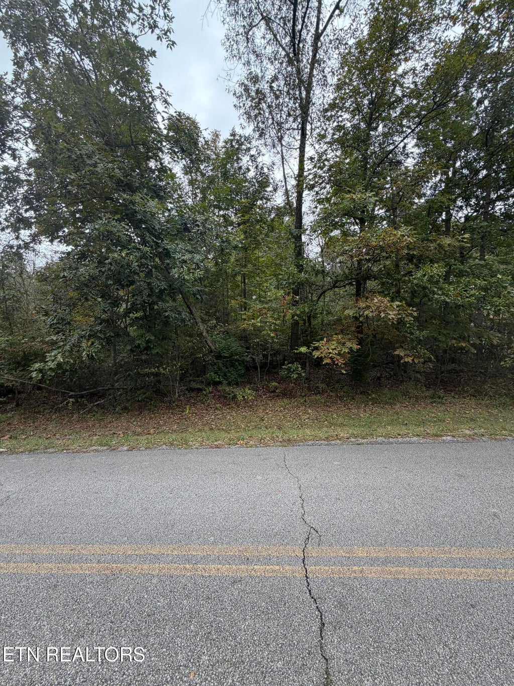 Photo of 5029 Pawnee Rd, Crossville, TN 38572 (MLS # 1358978)