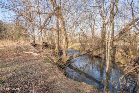 Tiny photo for 259 Sherman Rd, Ten Mile, TN 37880 (MLS # 1331161)